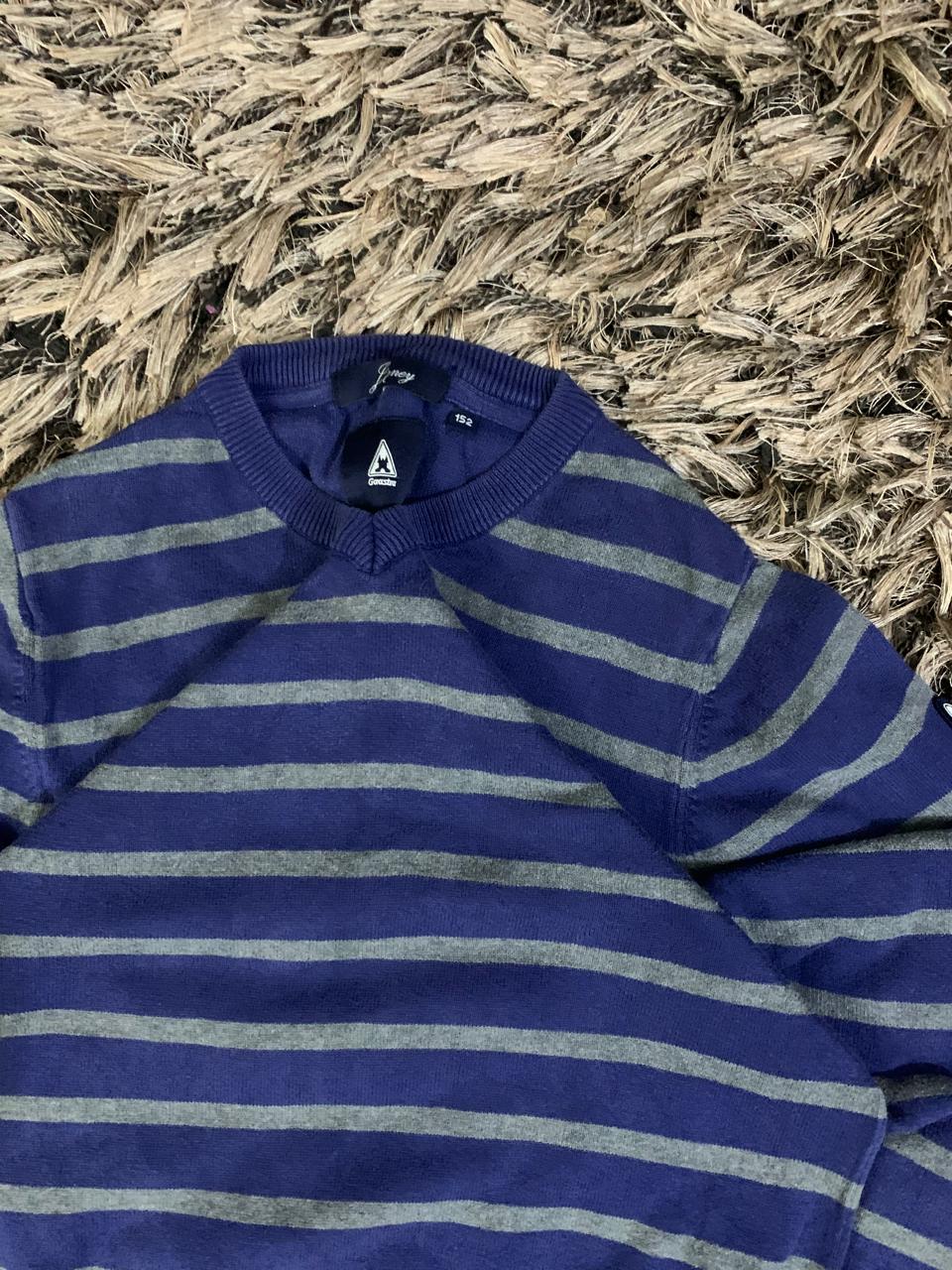 PURPLE&GREY LINING Sweater (Thrift)