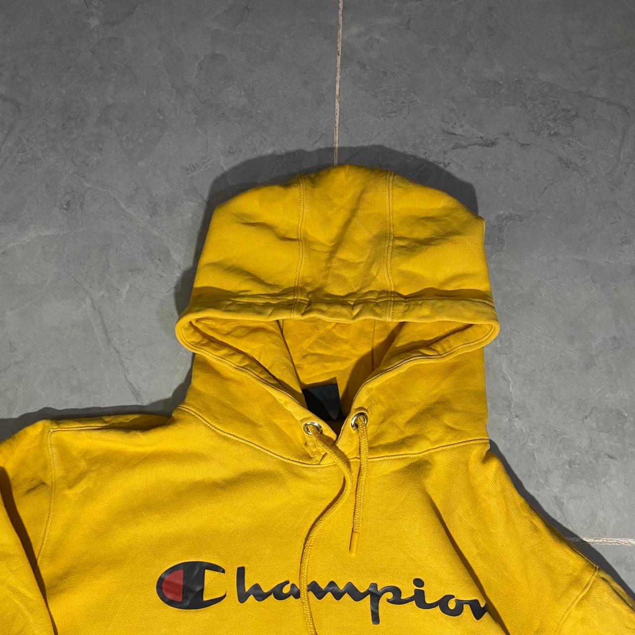 Champion hoodie (Thrift)